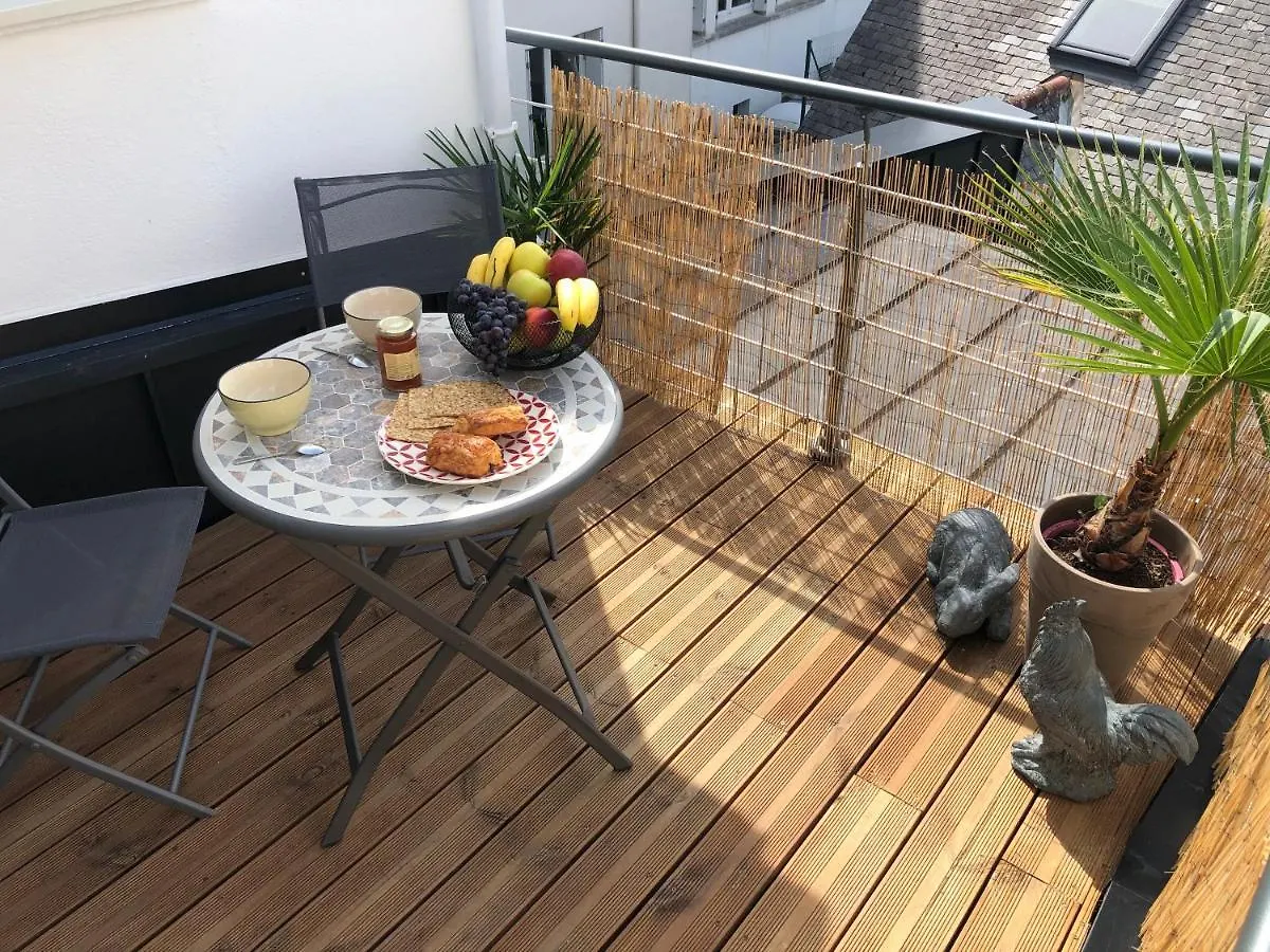 Appartement Centre-Ville Avec Terrasse Rustique Vannes Apartment